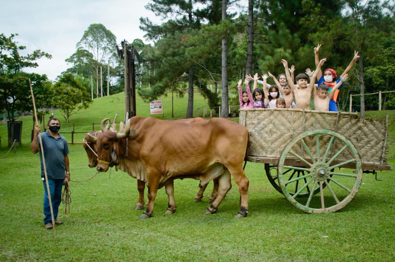 Hotel Fazenda Chiminelli Cachoeiras de Macacu Esterno foto